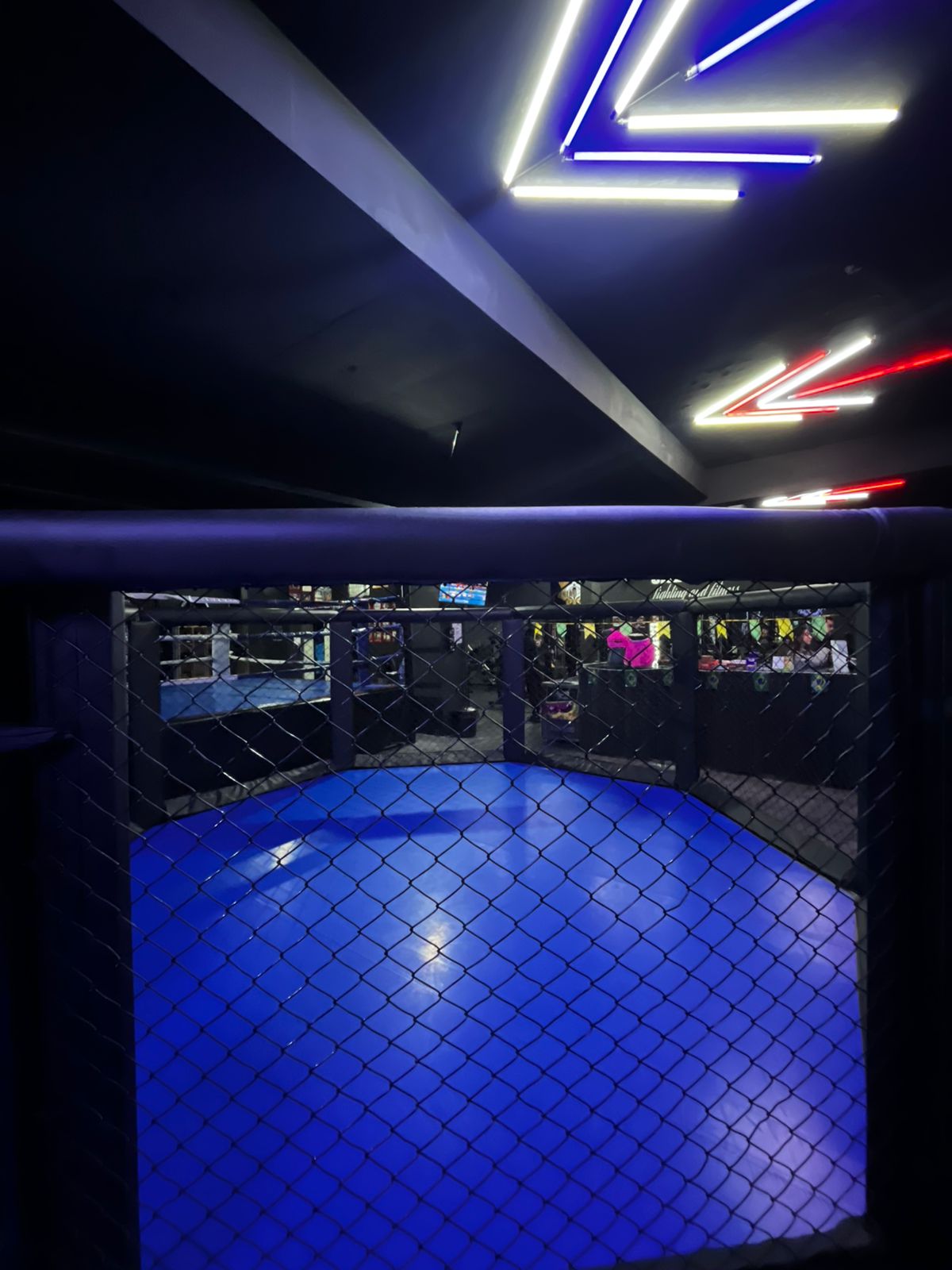 Interior do Cage