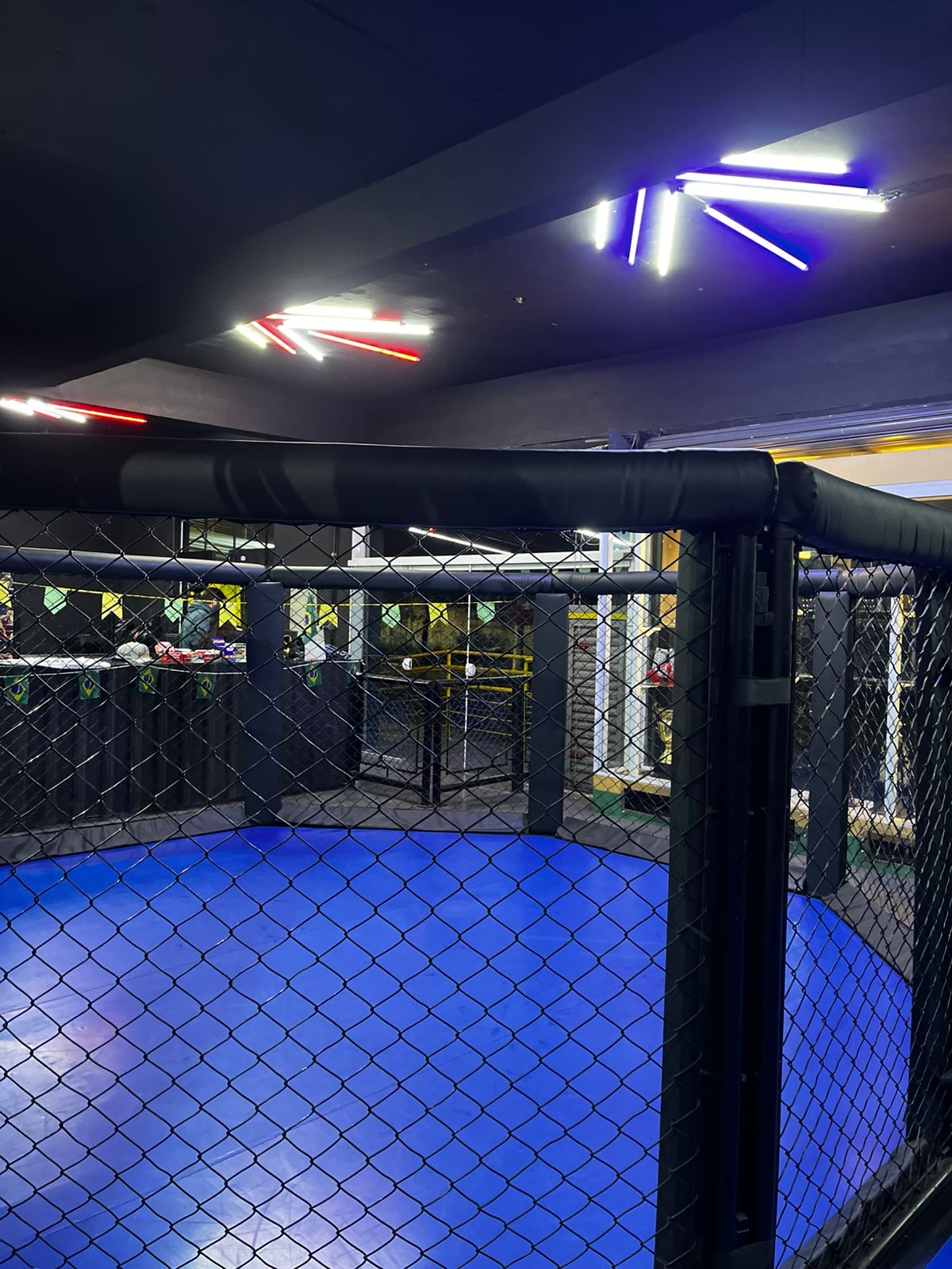 Cage / Octógono