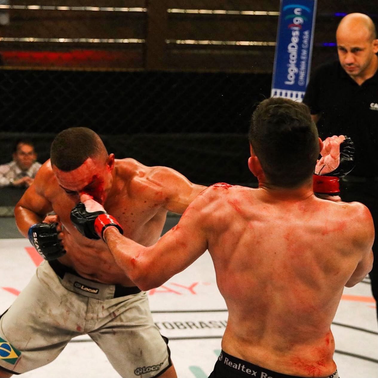 Combate de MMA — troca intensa de golpes